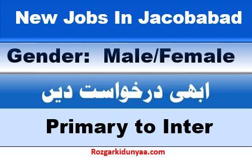 Jacobabad New Jobs 2024
