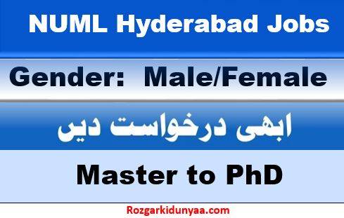 NUML Hyderabad New Jobs 2024