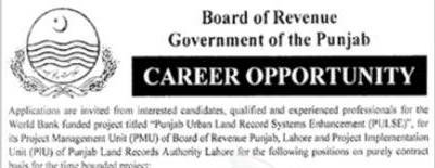 Punjab Revenue Jobs 2024 Online Apply